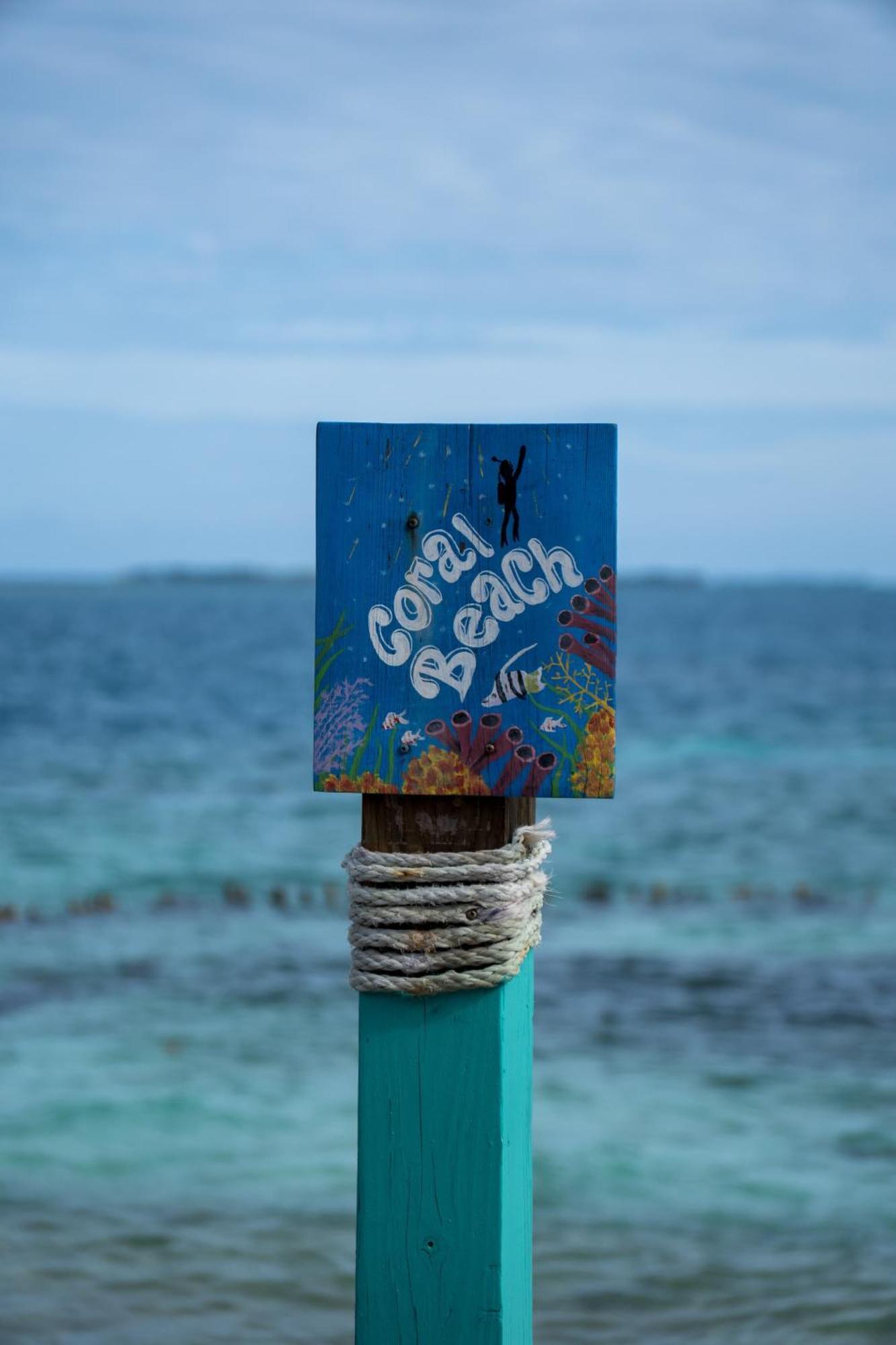 King Lewey'S Island Resort Placencia المظهر الخارجي الصورة